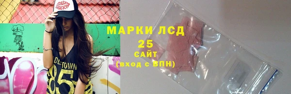 PSILOCYBIN Абаза