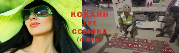 дурь Алзамай