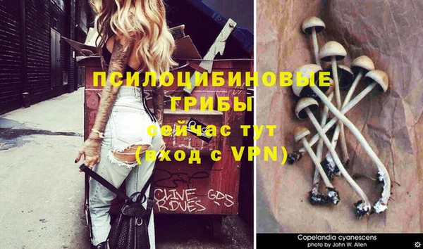 дурь Алзамай