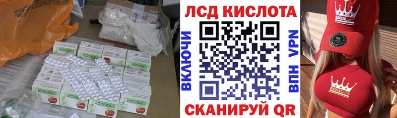 дарк нет официальный сайт  Лермонтов  Лсд 25 экстази ecstasy 