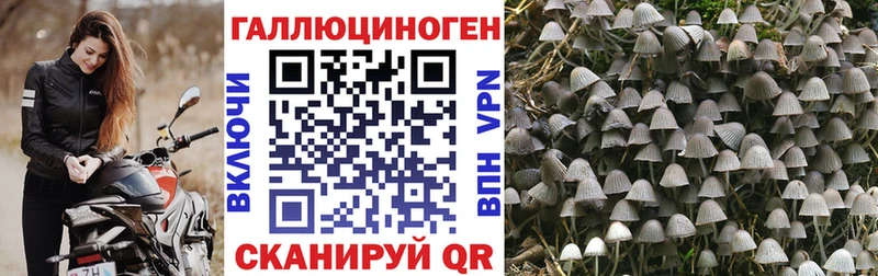 Галлюциногенные грибы GOLDEN TEACHER  где купить наркотик  Лермонтов 